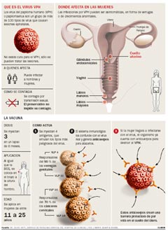 Imgenes de verrugas genitales